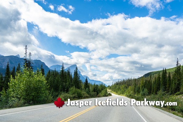 Jasper Icefields Parkway