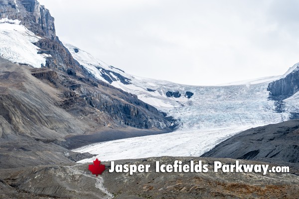 Jasper Icefields Parkway