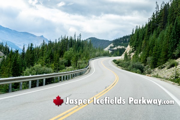 Jasper Icefields Parkway